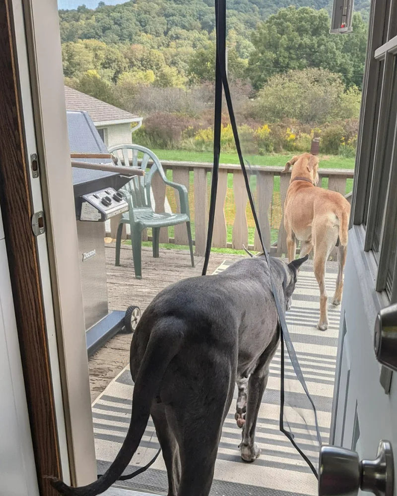 Magnetic Screen Door – Hands-Free Mesh Door That Keeps Bugs Out